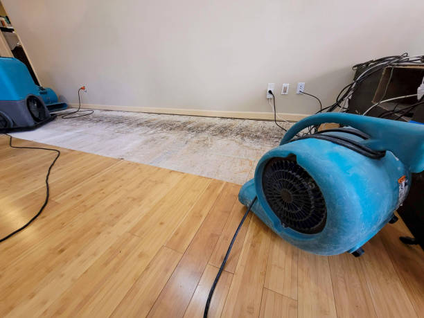 Professional Structural Drying technician working in Ethan, SD